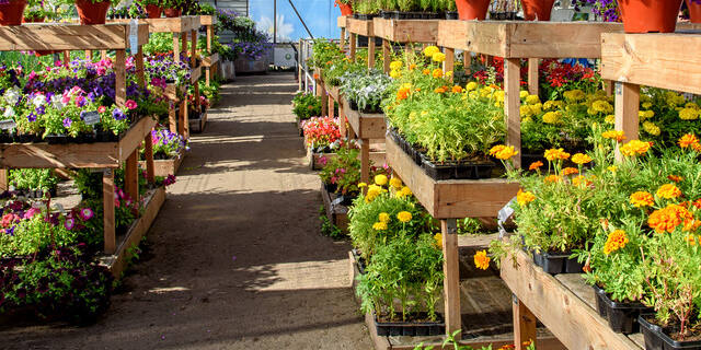 garden_center_moss_bluff_az garden_center_moss_bluff_az