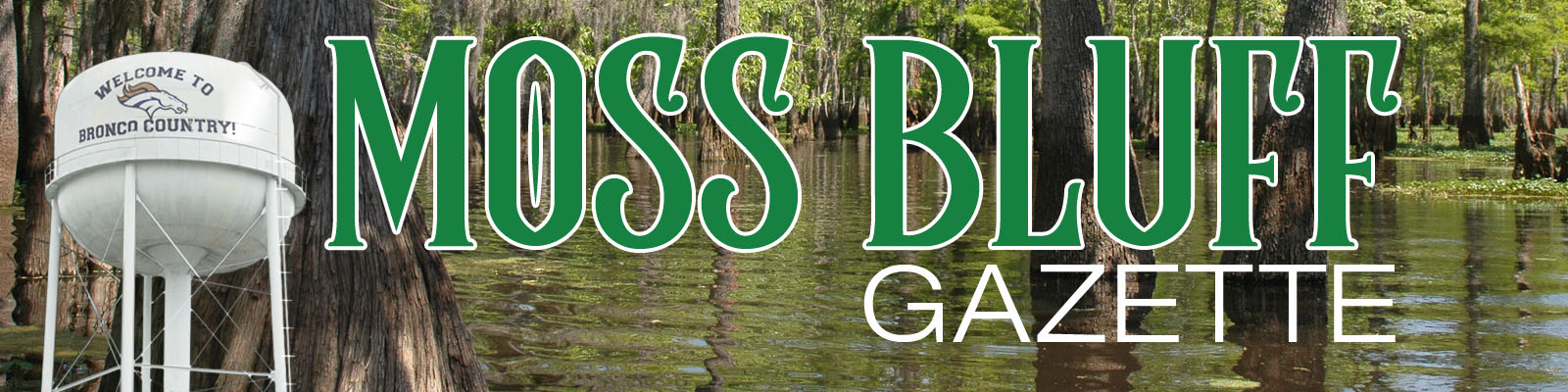 Moss Bluff - Louisiana